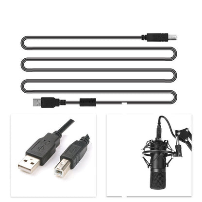 BM-700 Microphone Set