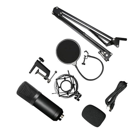 BM-700 Microphone Set